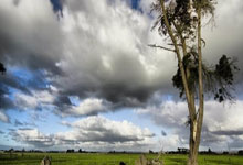 8个河南人创办的8个宝藏超市，随便拎出一个都是标杆级的！