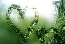 8个河南人创办的8个宝藏超市，随便拎出一个都是标杆级的！