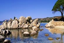 8个河南人创办的8个宝藏超市，随便拎出一个都是标杆级的！