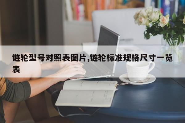 链轮型号对照表图片,链轮标准规格尺寸一览表