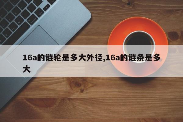 16a的链轮是多大外径,16a的链条是多大