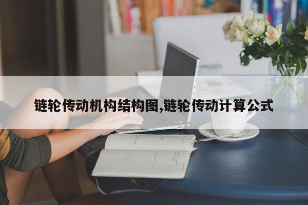 链轮传动机构结构图,链轮传动计算公式