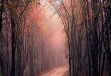 齿轮齿条机构哪个是主动件,齿轮齿条机构可以实现的相互转换